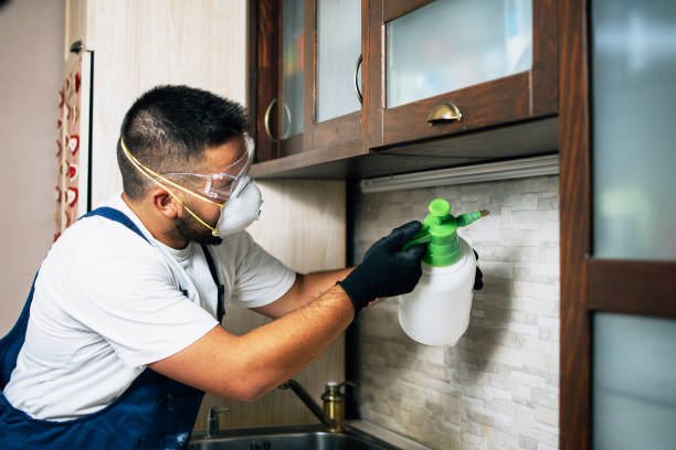 Best Pest Inspection Near Me  in Perry, OH