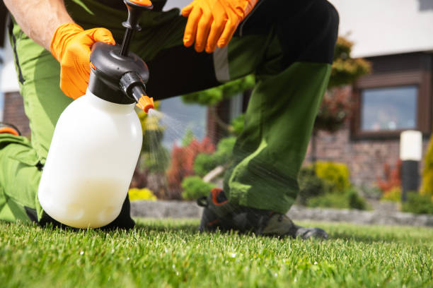Best Emergency Pest Control  in Perry, OH