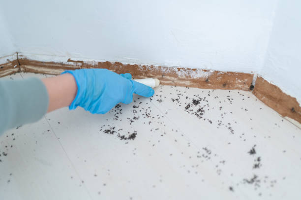 Best Insect Control  in Perry, OH